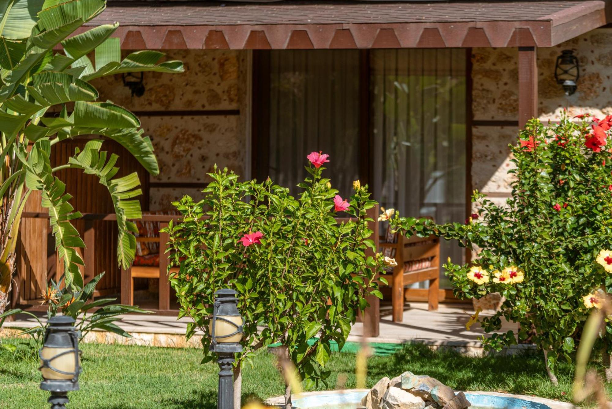 Sedir Park -