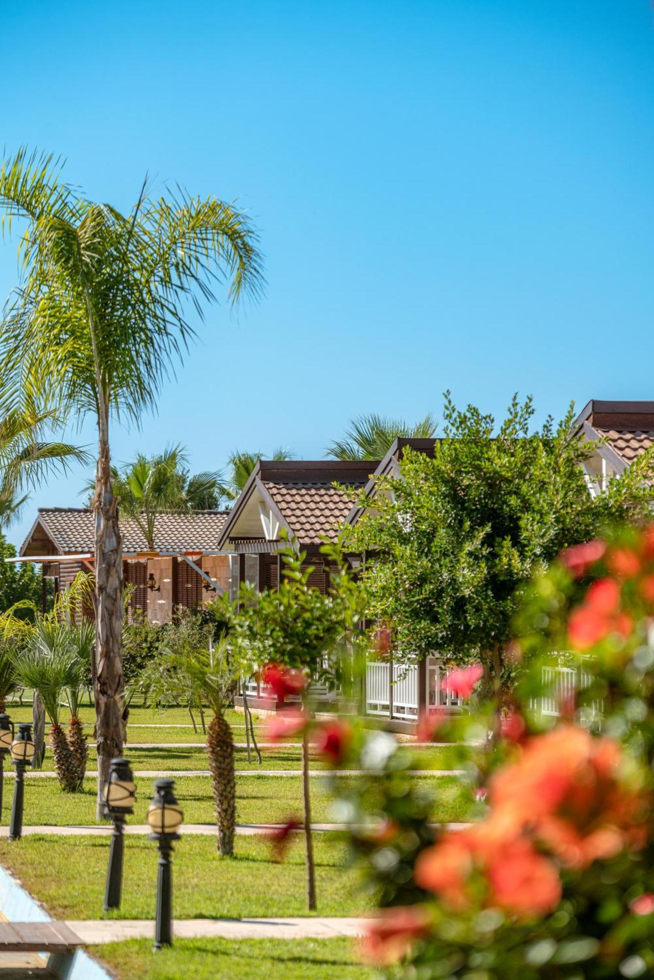 Sedir Park - Bed & Breakfast *