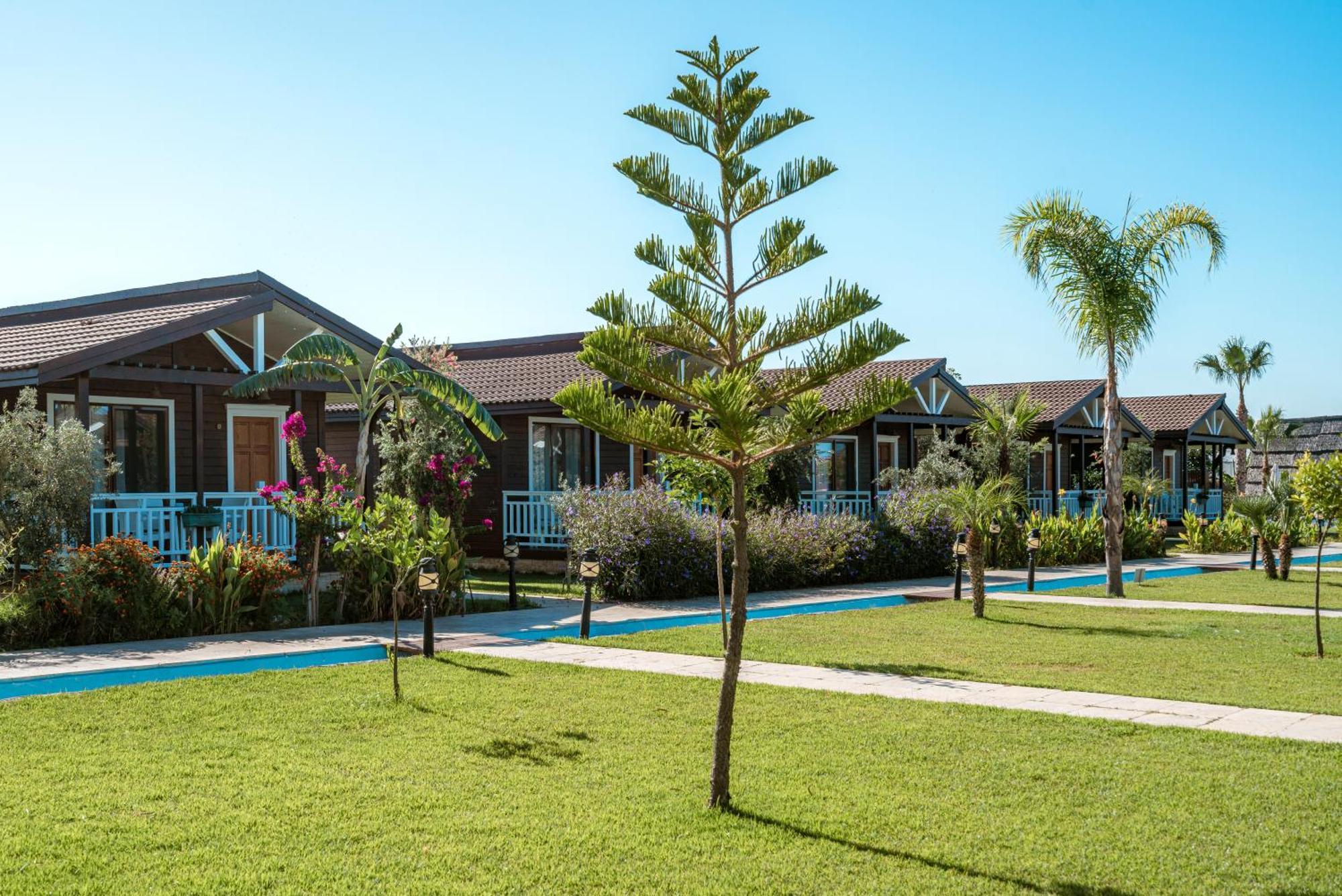 Sedir Park -