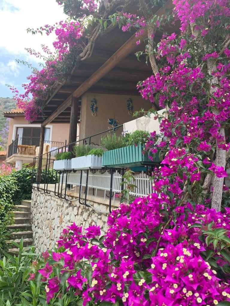Holiday home Sea View Bougainvillea 52 Kalkan