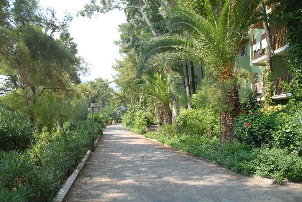 Park Hotel 3*