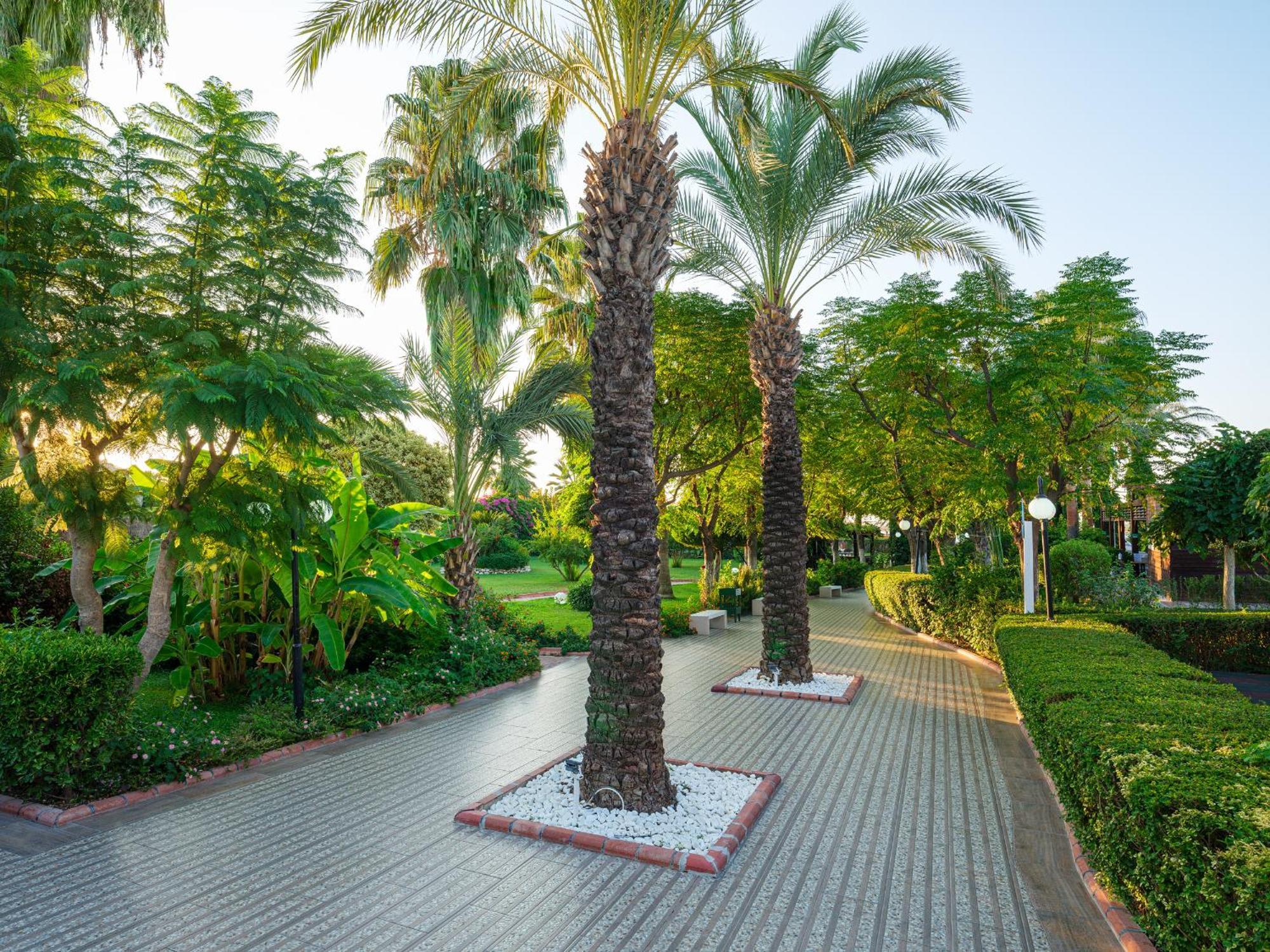 Aydinbey Famous Belek