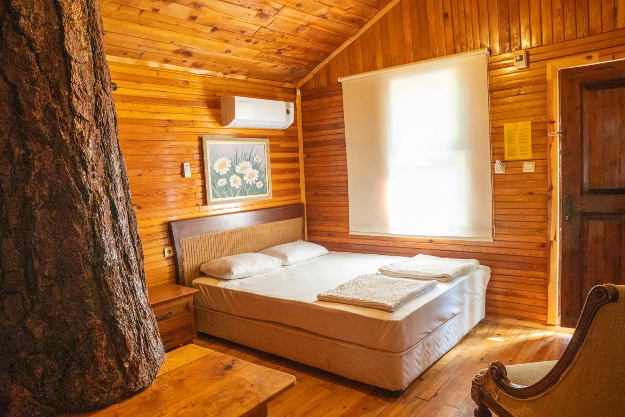 Kadir's Tree Hostel Olympos