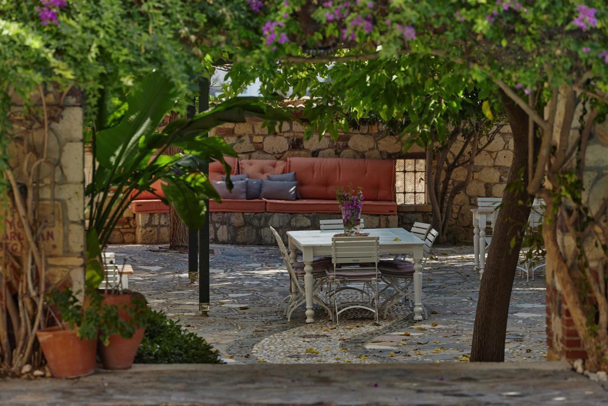 Zeytin Alacati