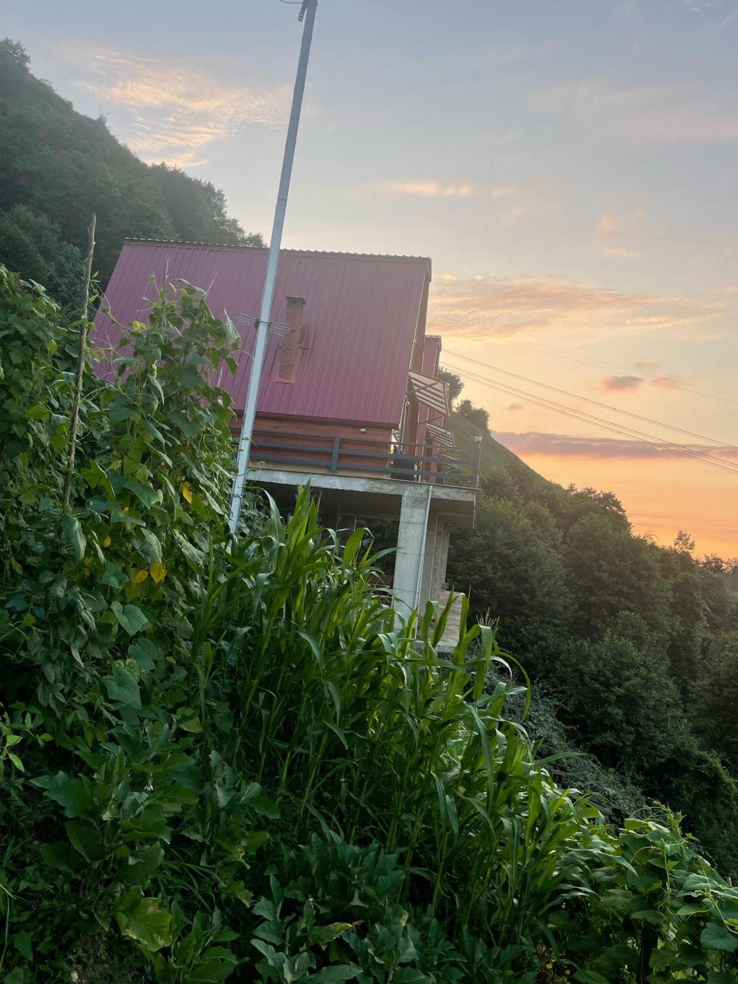 Aparthotel Dagderebungalow
