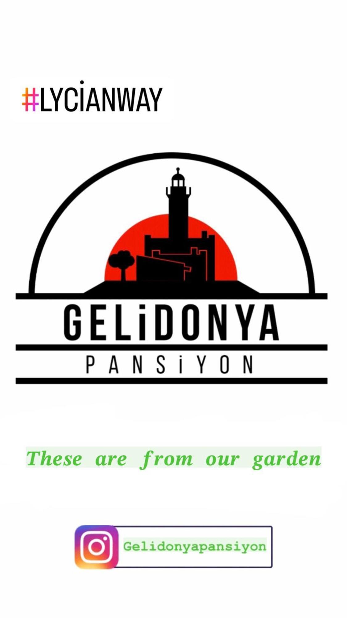 Gelidonya *