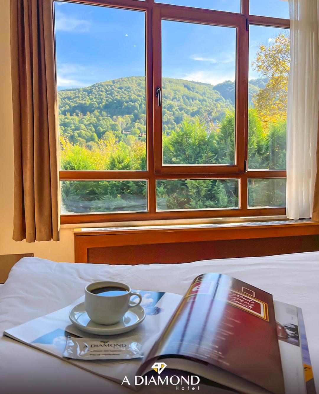 A Diamond The Hotel Sapanca