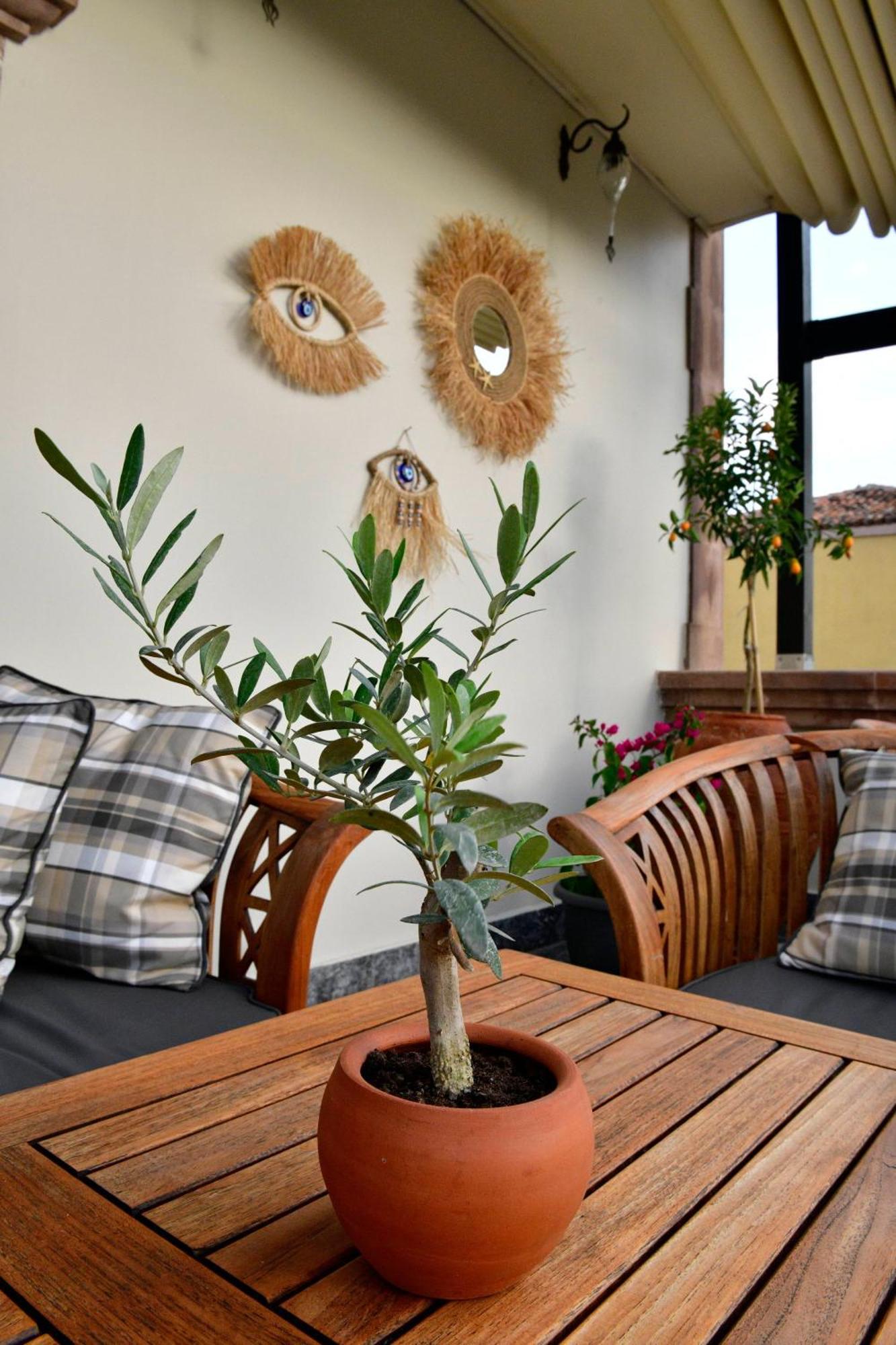 Siyah Lale Cunda 1841 (adults Only) 2*