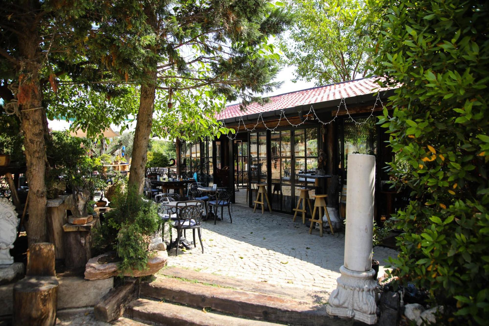 Resort Mavi At Blue Horse