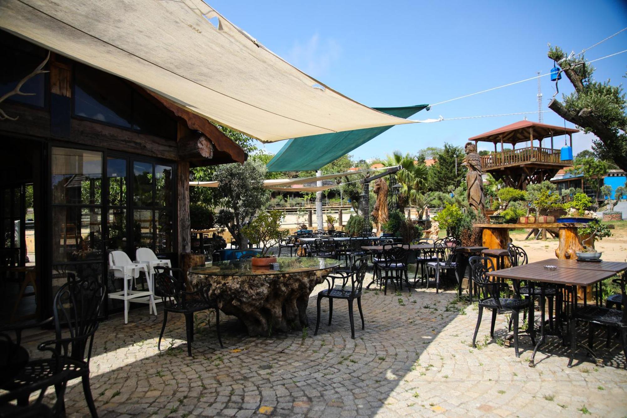 Mavi At Blue Horse Gumusdere