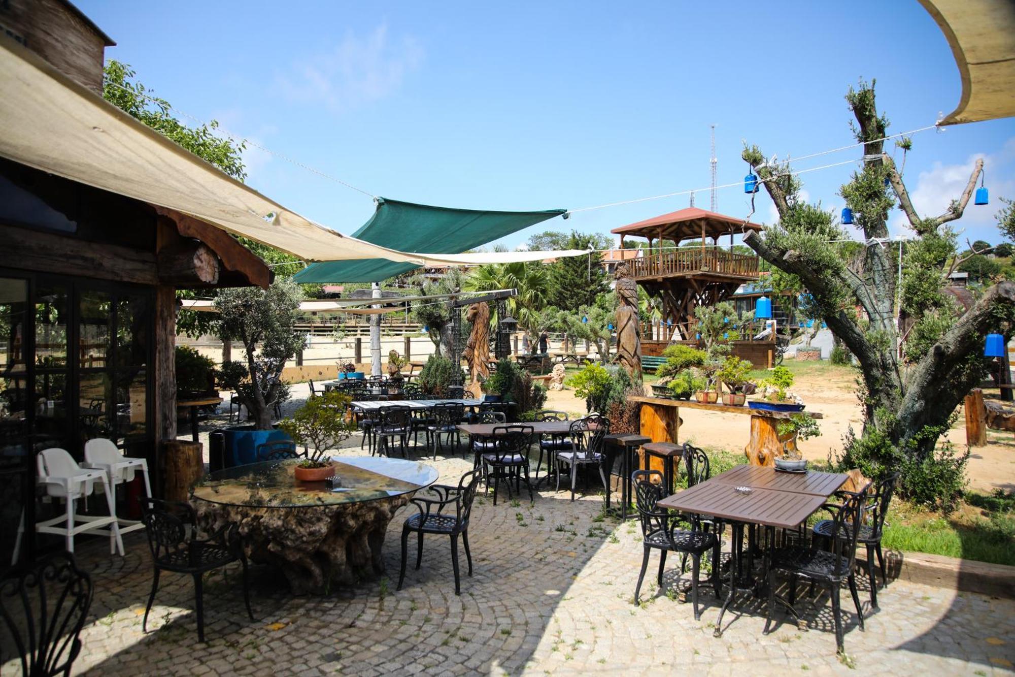 Resort Mavi At Blue Horse Gumusdere