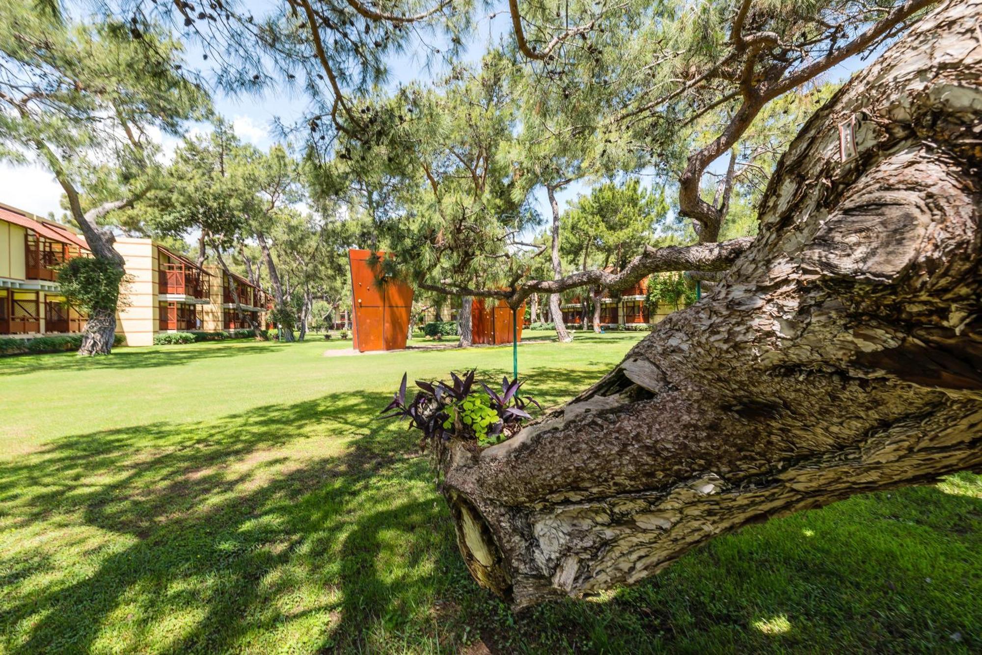 Robinson Camyuva - Adults Only 5* Kemer