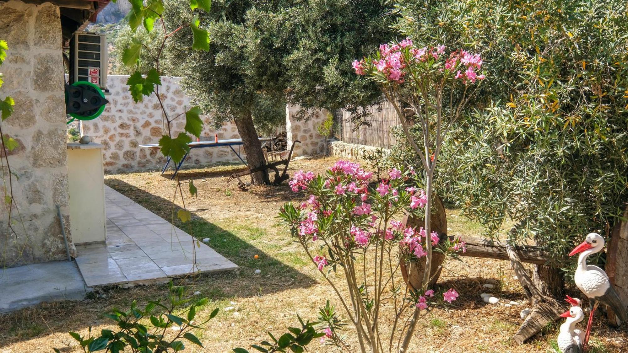 Villa Likya House - Deniz Ve Doga Manzarali, Havuzlu *