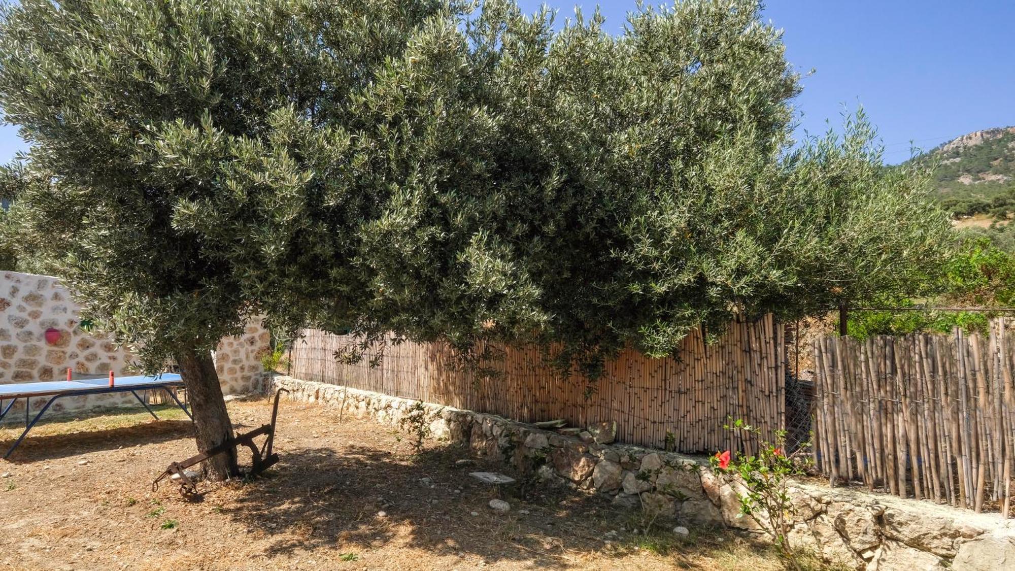 Likya House - Deniz Ve Doga Manzarali, Havuzlu Patara