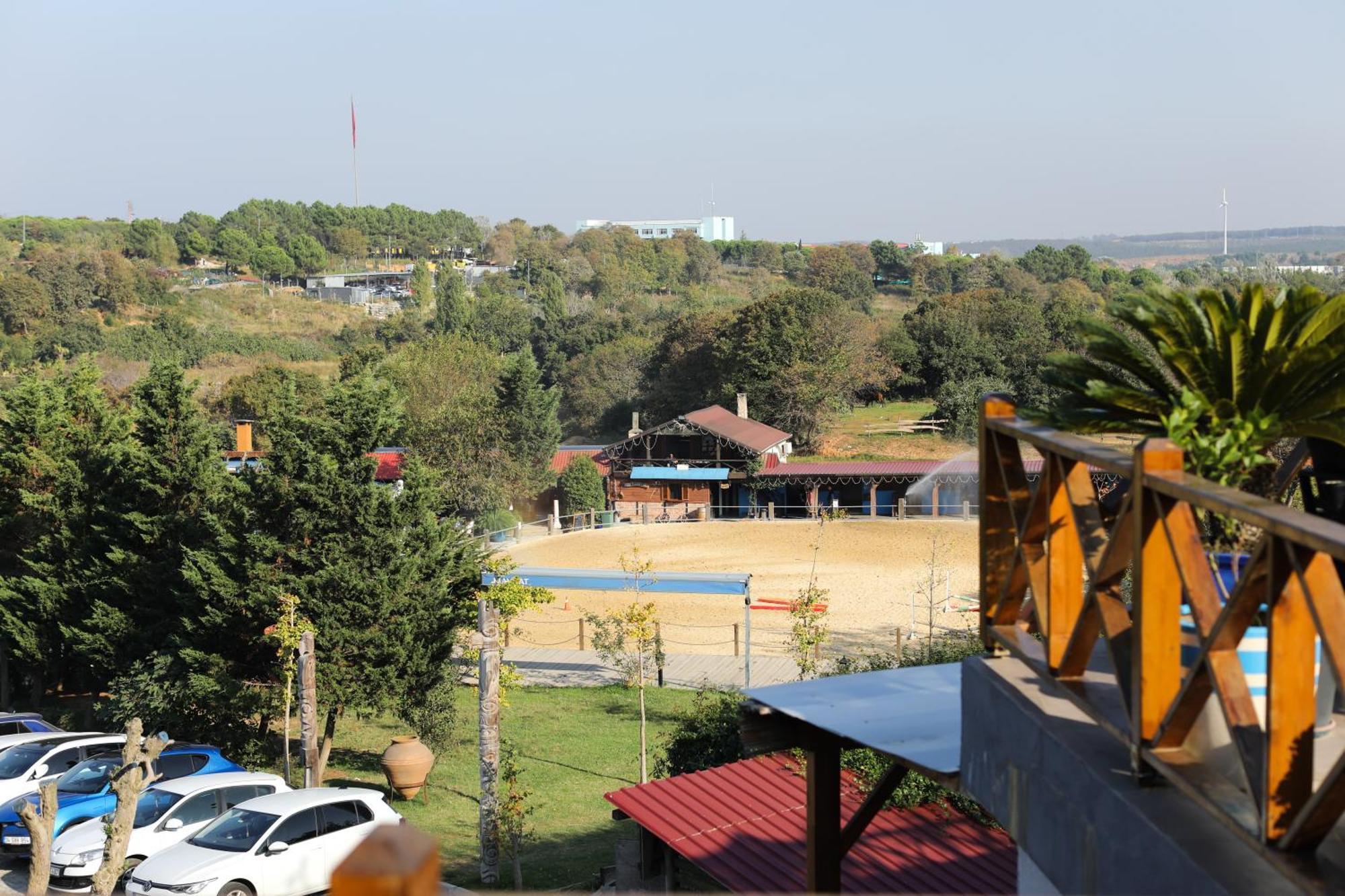 Mavi At Blue Horse Resort