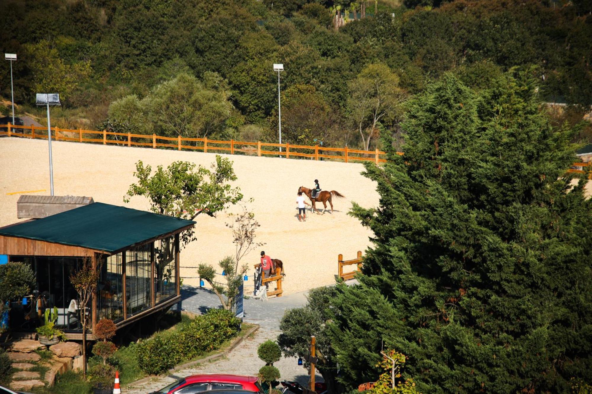 Resort Mavi At Blue Horse *