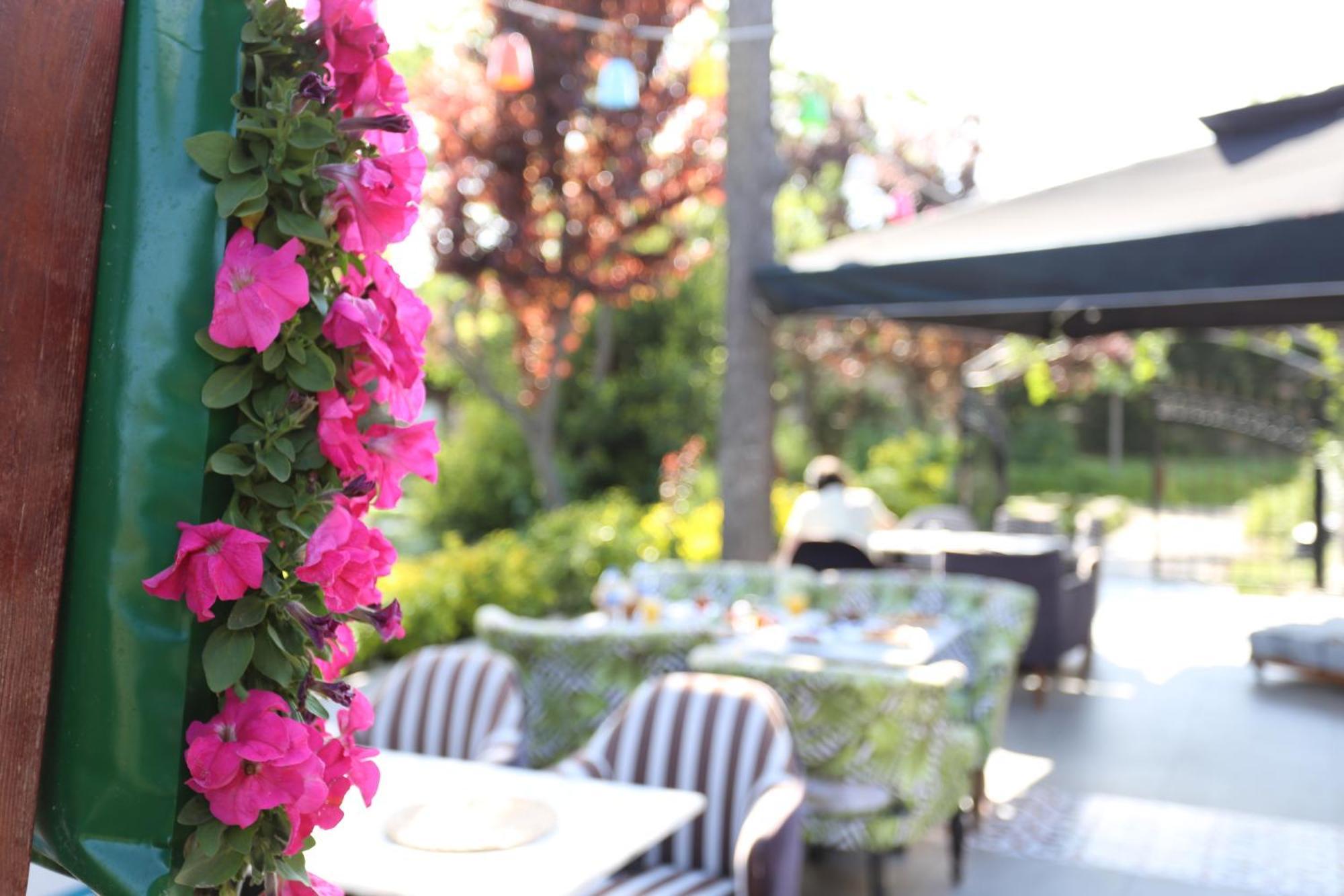 Turkuaz 3* Istanbul