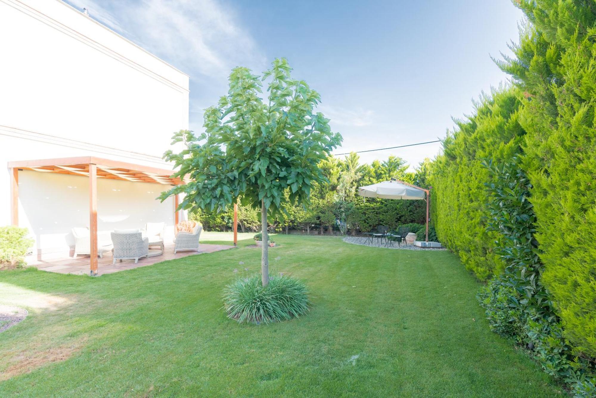 Hotel Elia Cunda By Ortunc