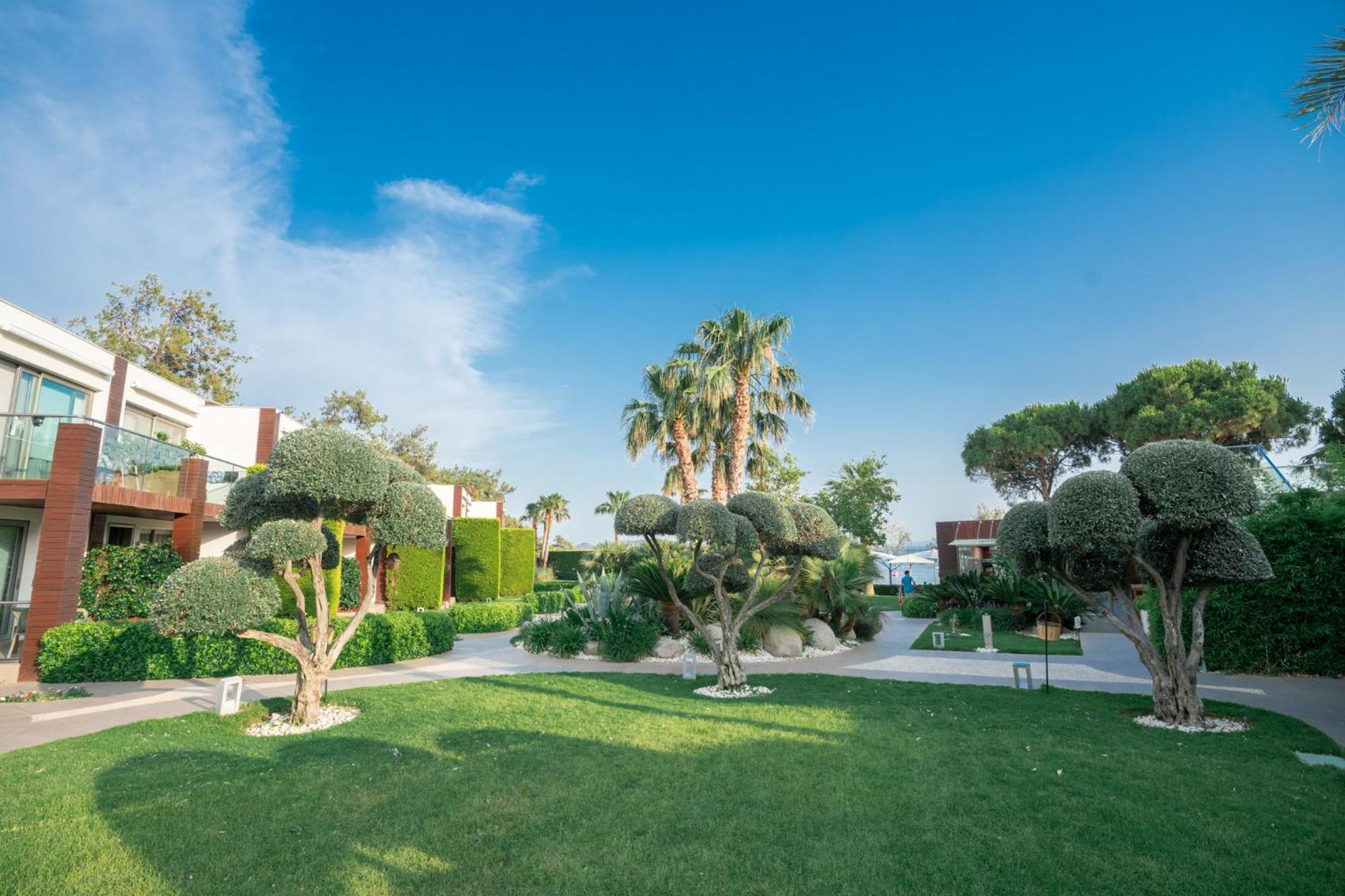 Ortunc - Cunda Island (adults Only) Hotel Ayvalik