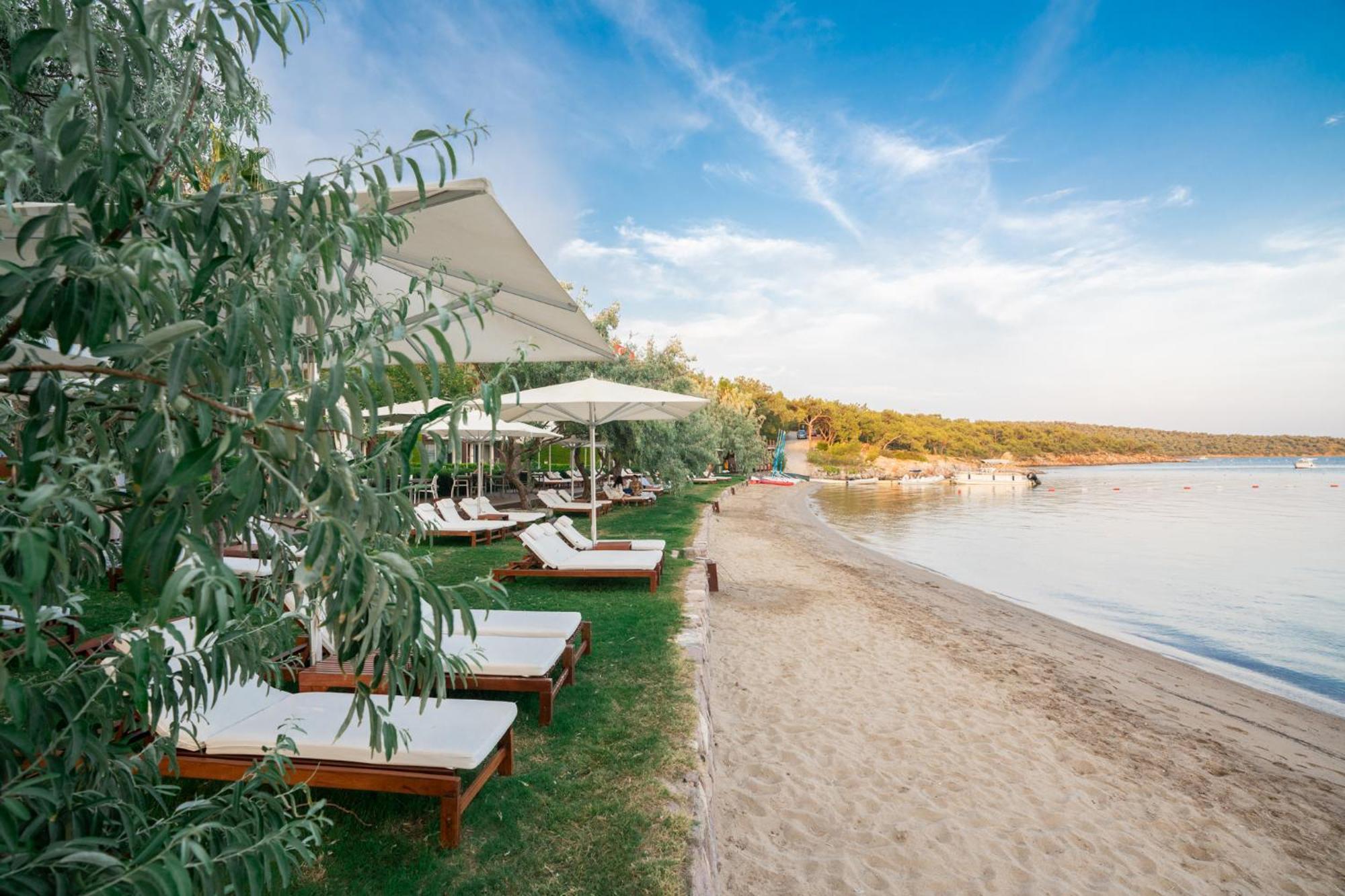 Hotel Ortunc - Cunda Island (adults Only)