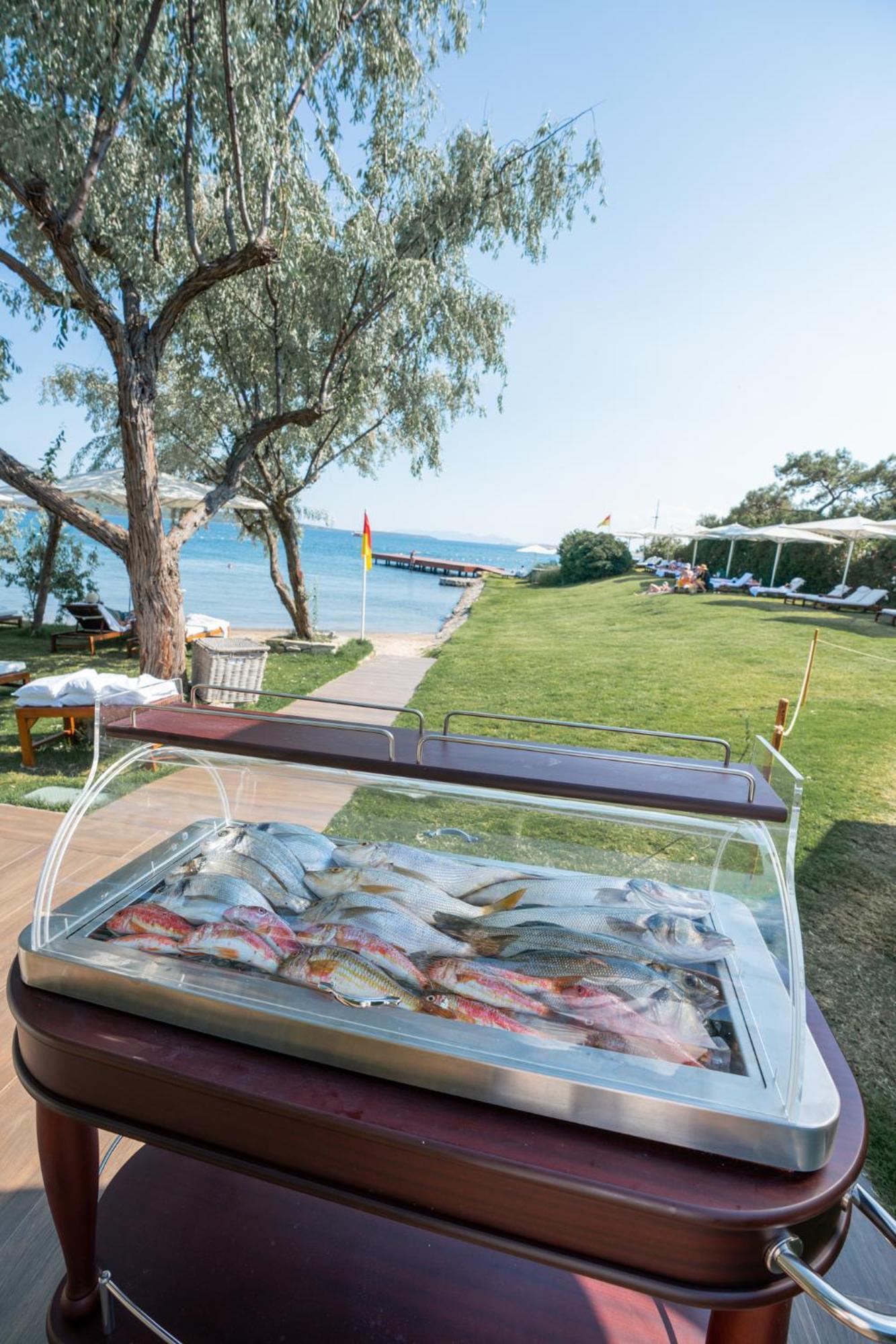 Ortunc - Cunda Island (adults Only) Ayvalik