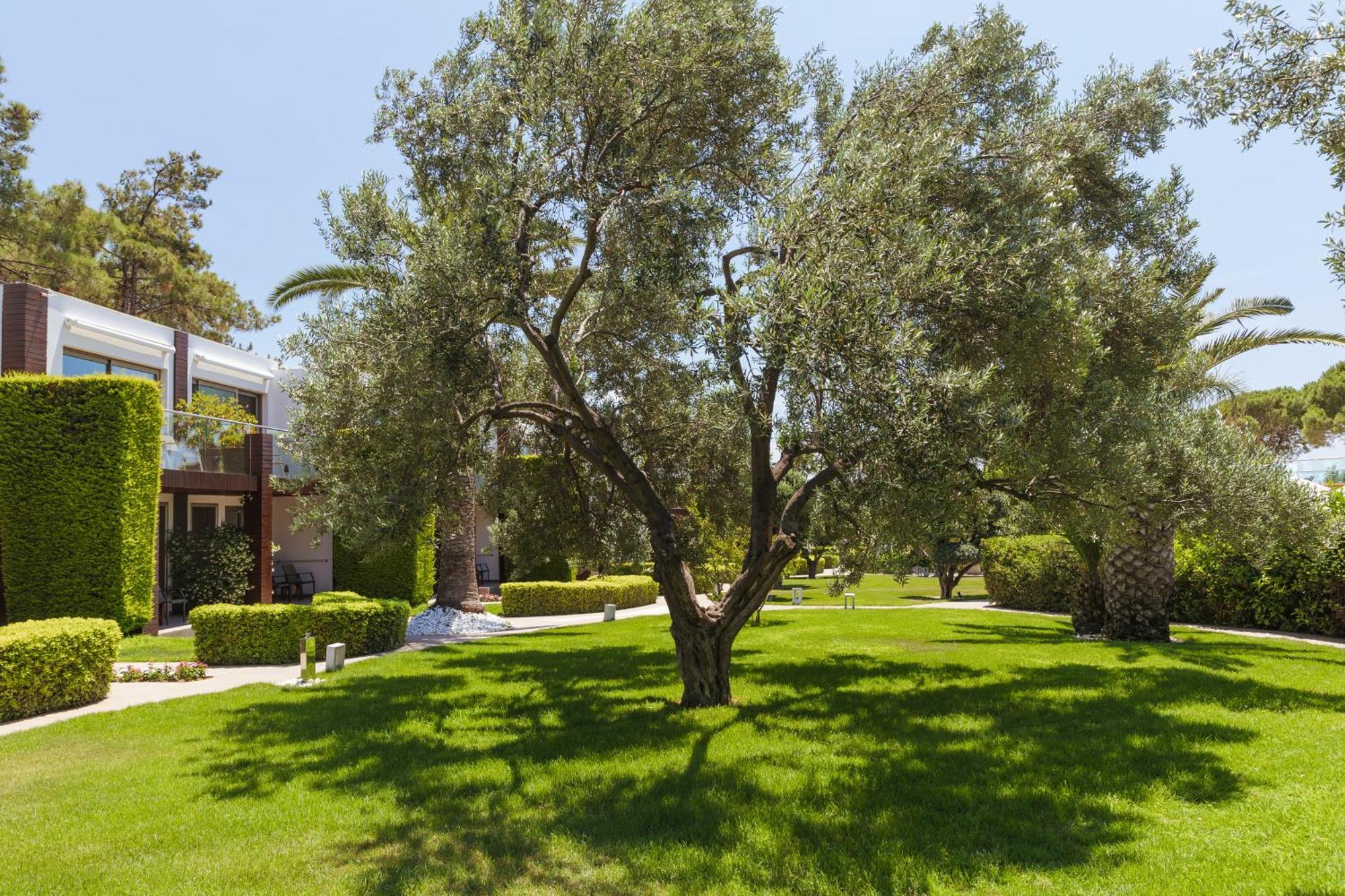 Ortunc - Cunda Island (adults Only) Ayvalik