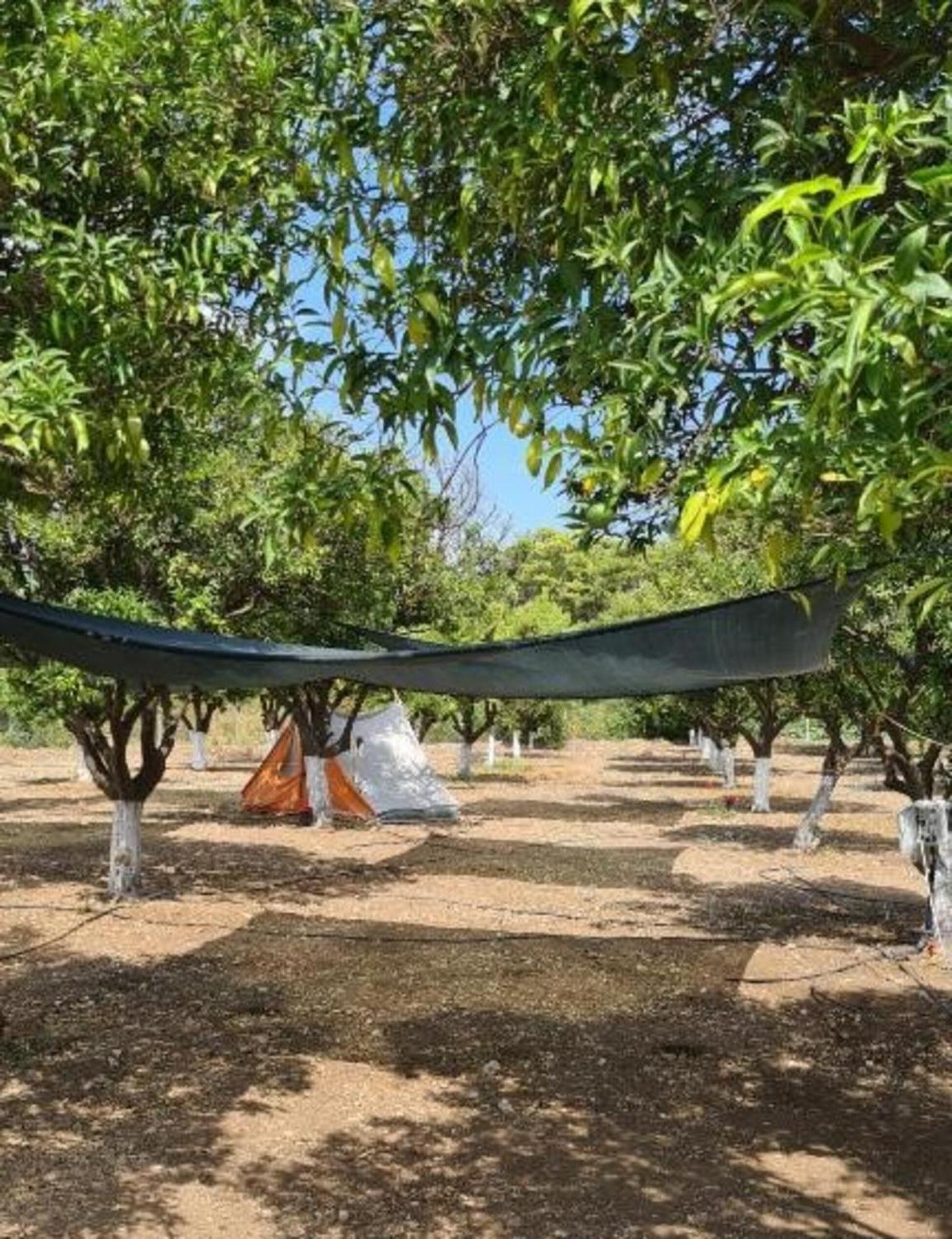 Orange Camp Campsite Beldibi (Kemer)