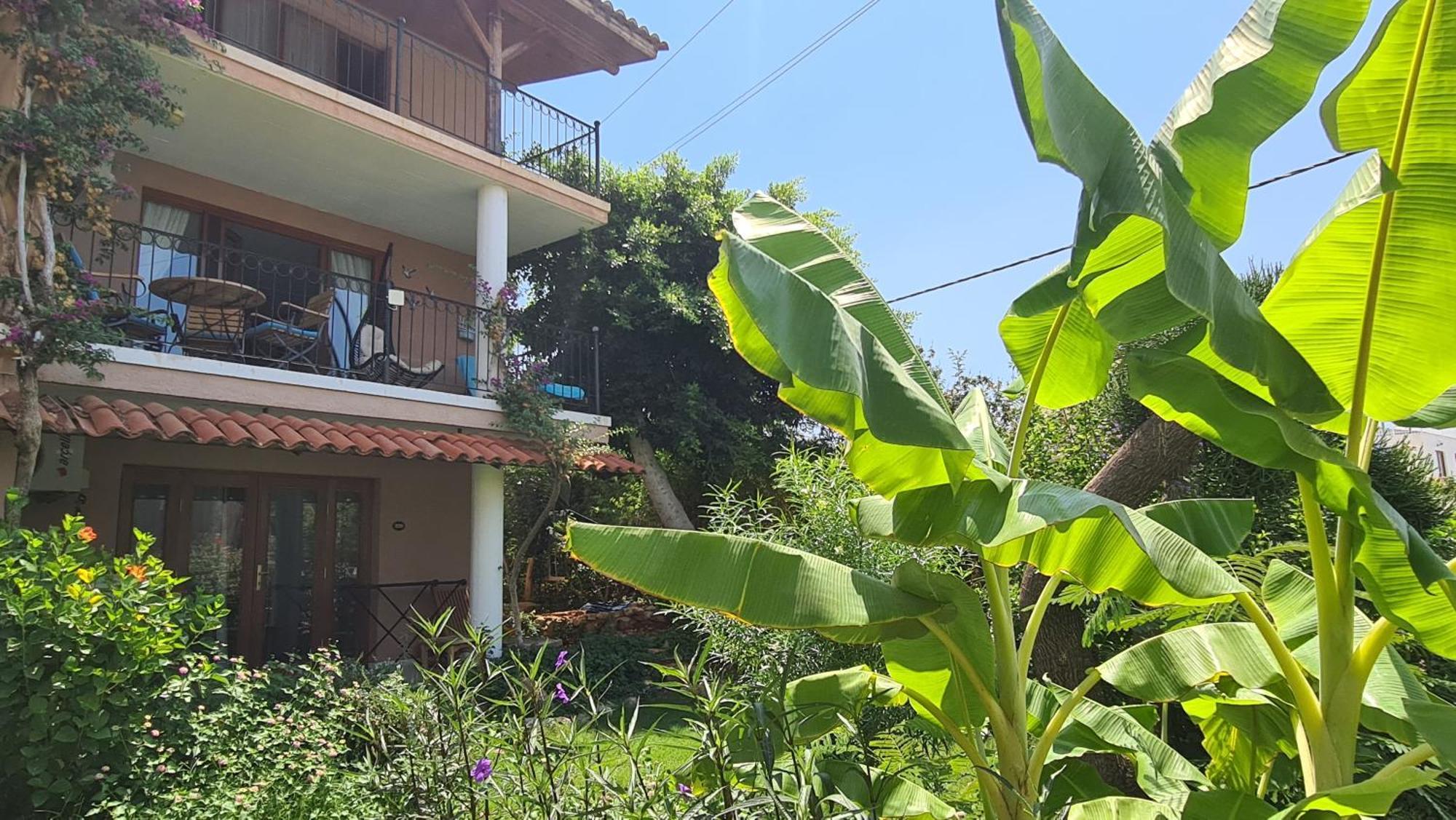 Seaview Apartment