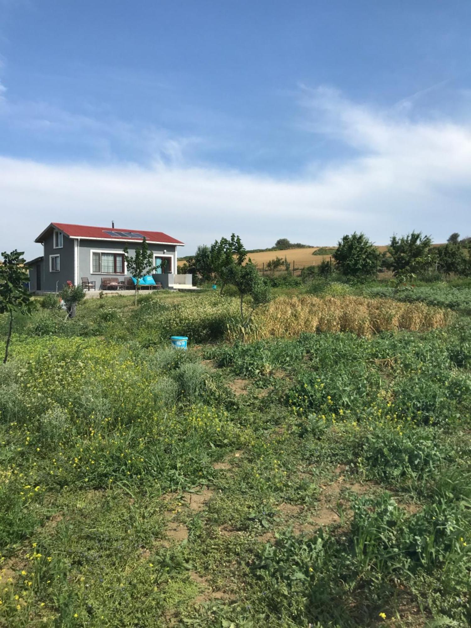 Holiday home Kublay's Gelibolu