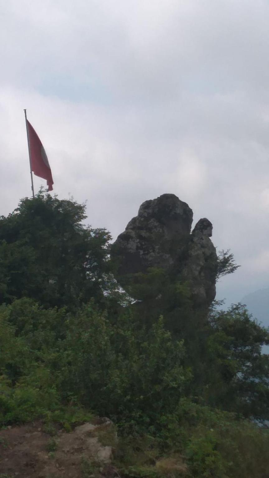 Kartal Tepesi & Restaurant Chalet *