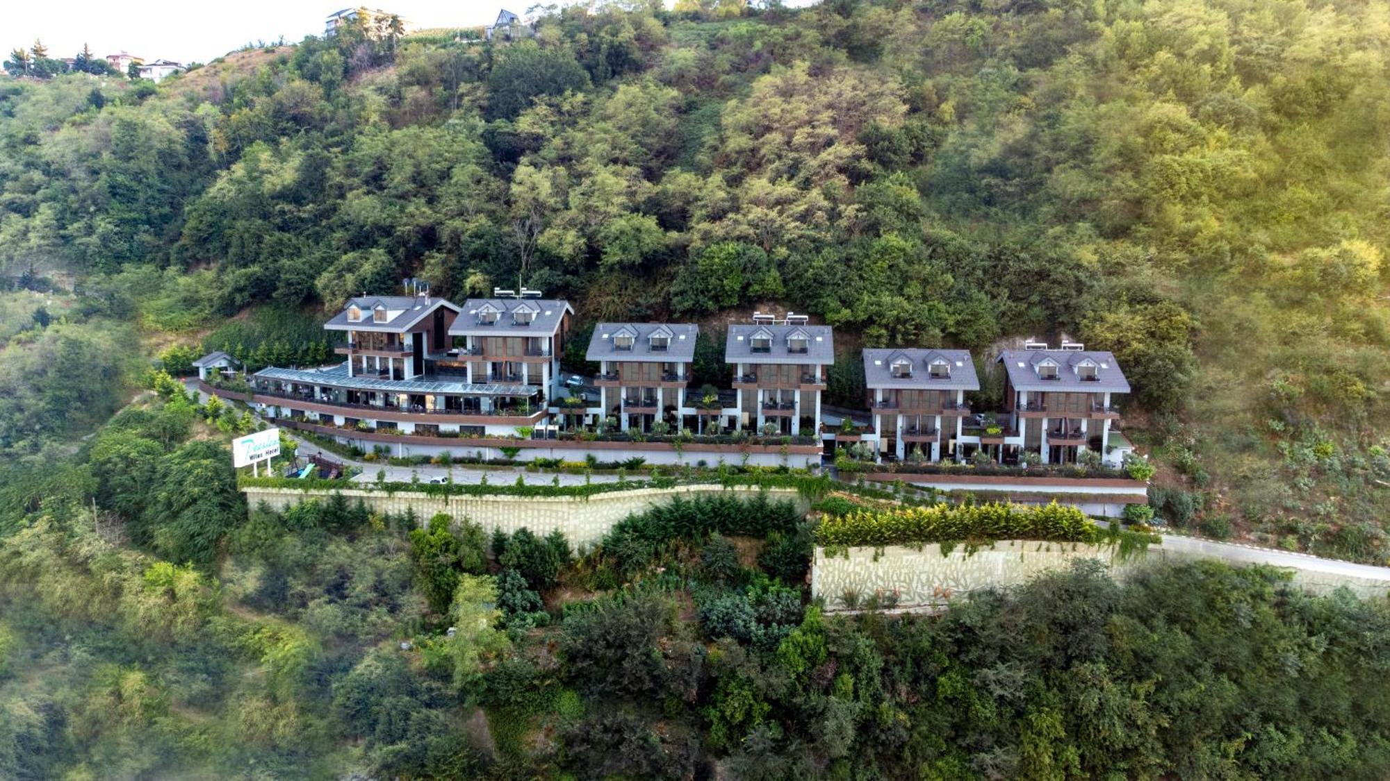 Peerless Trabzon