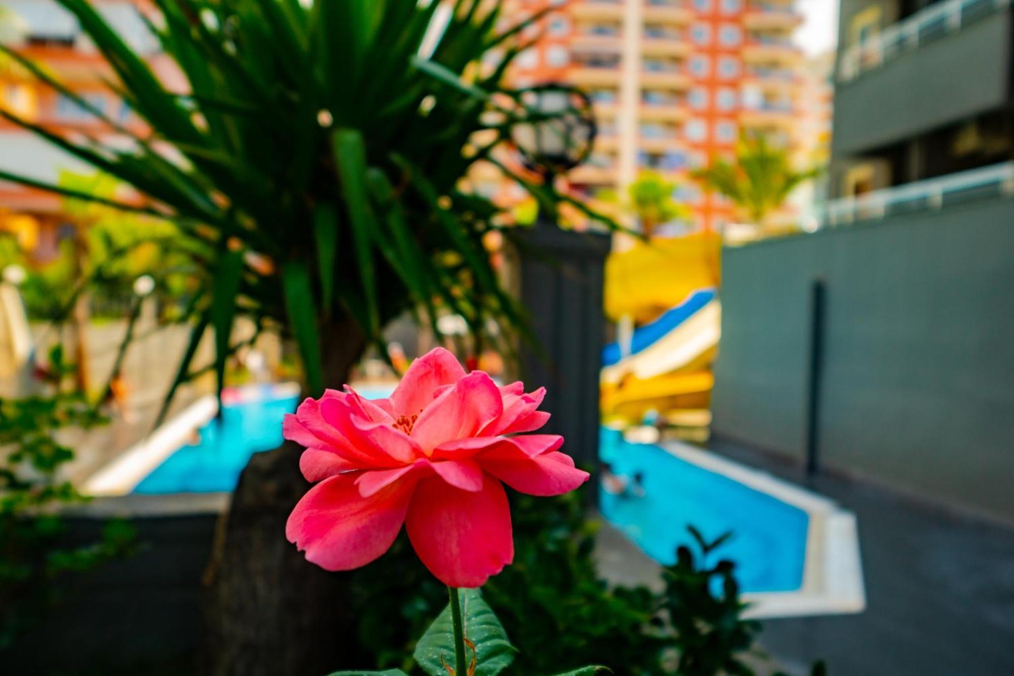 Hotel Senza Grand Santana