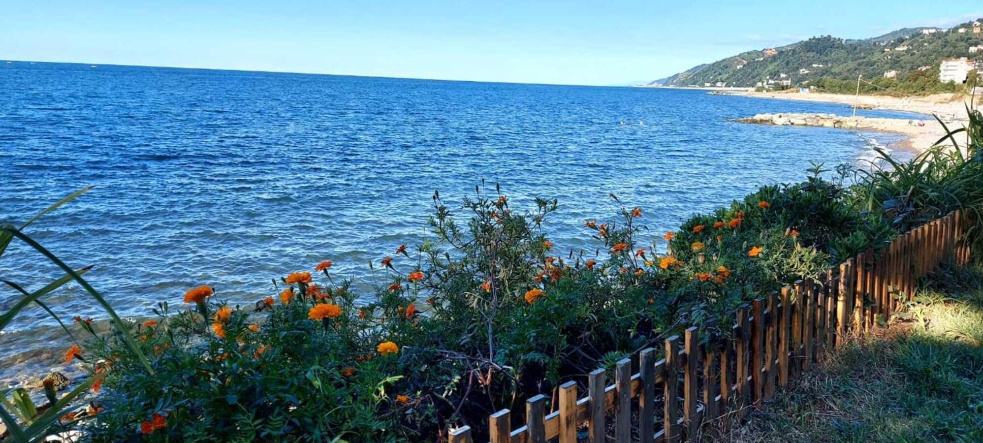 Seafront By The Sea And With A And With Big Garden Apartment