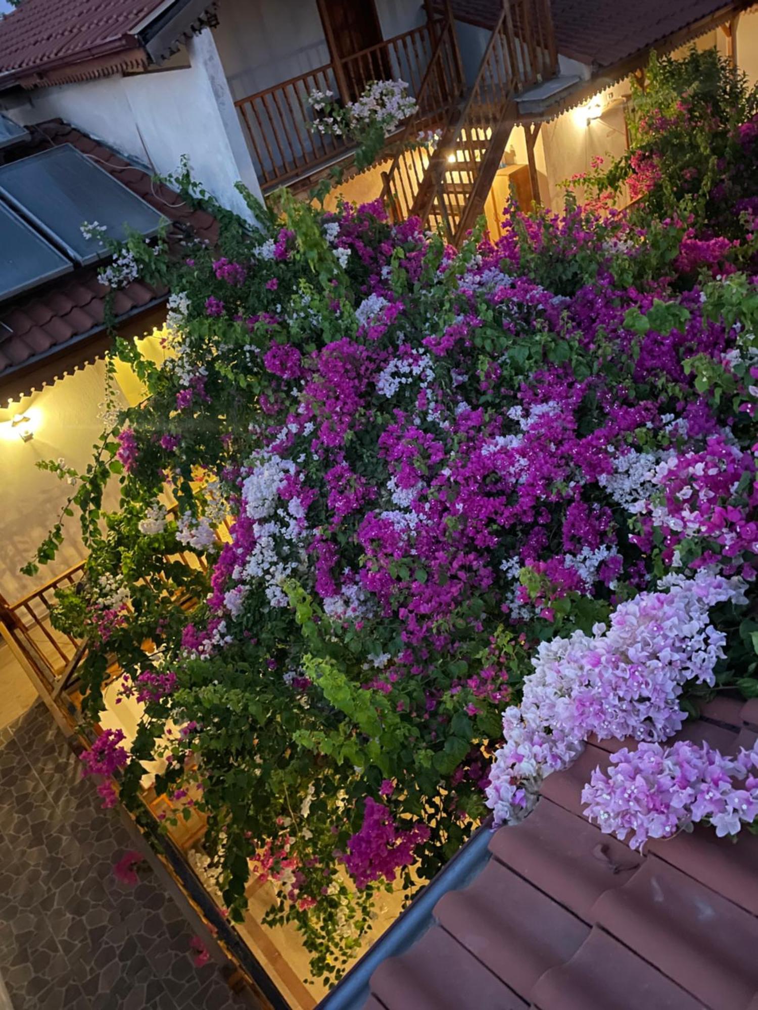 Su Hotel