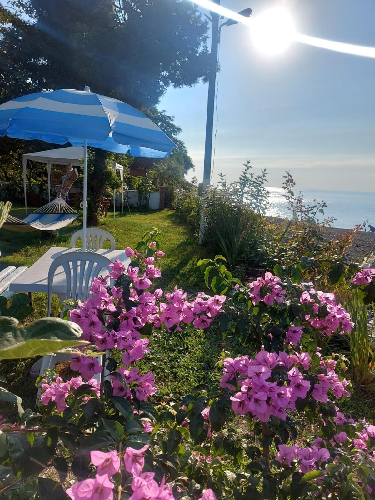 Seafront By The Sea And With A And With Big Garden Apartment