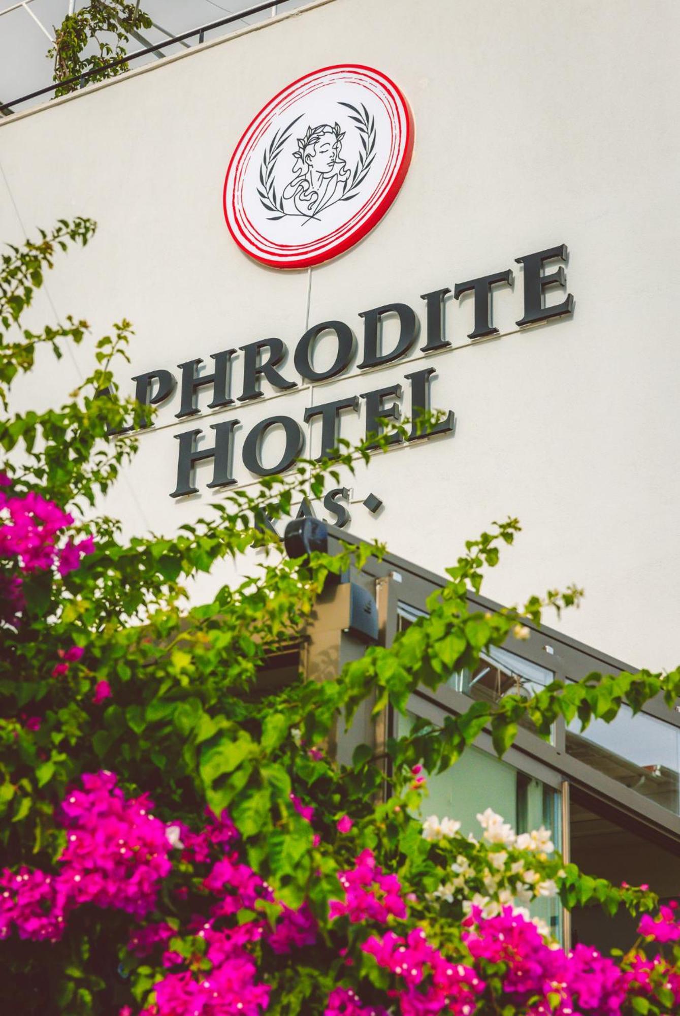Aphrodite Guest house
