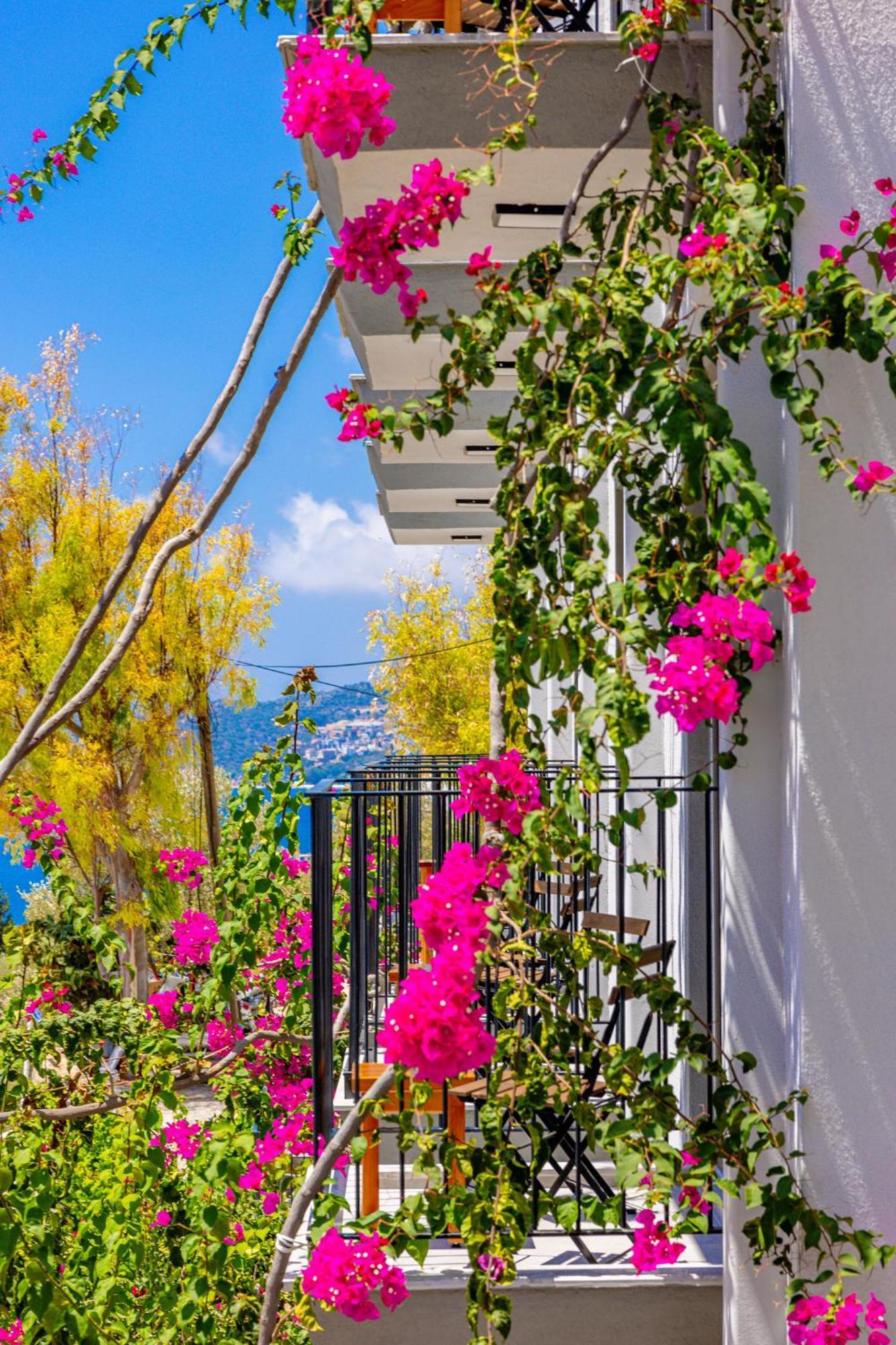 Guest house Aphrodite 2*