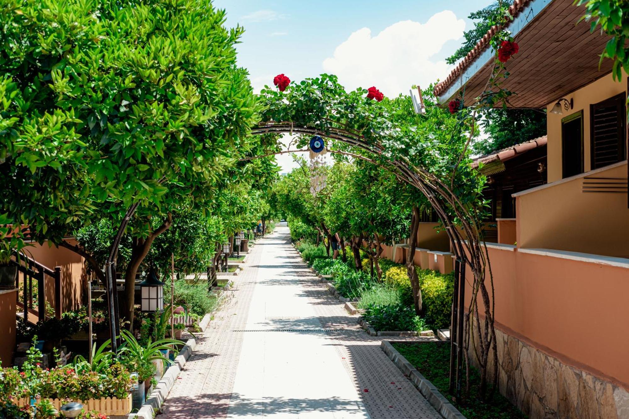 Ozlem Garden