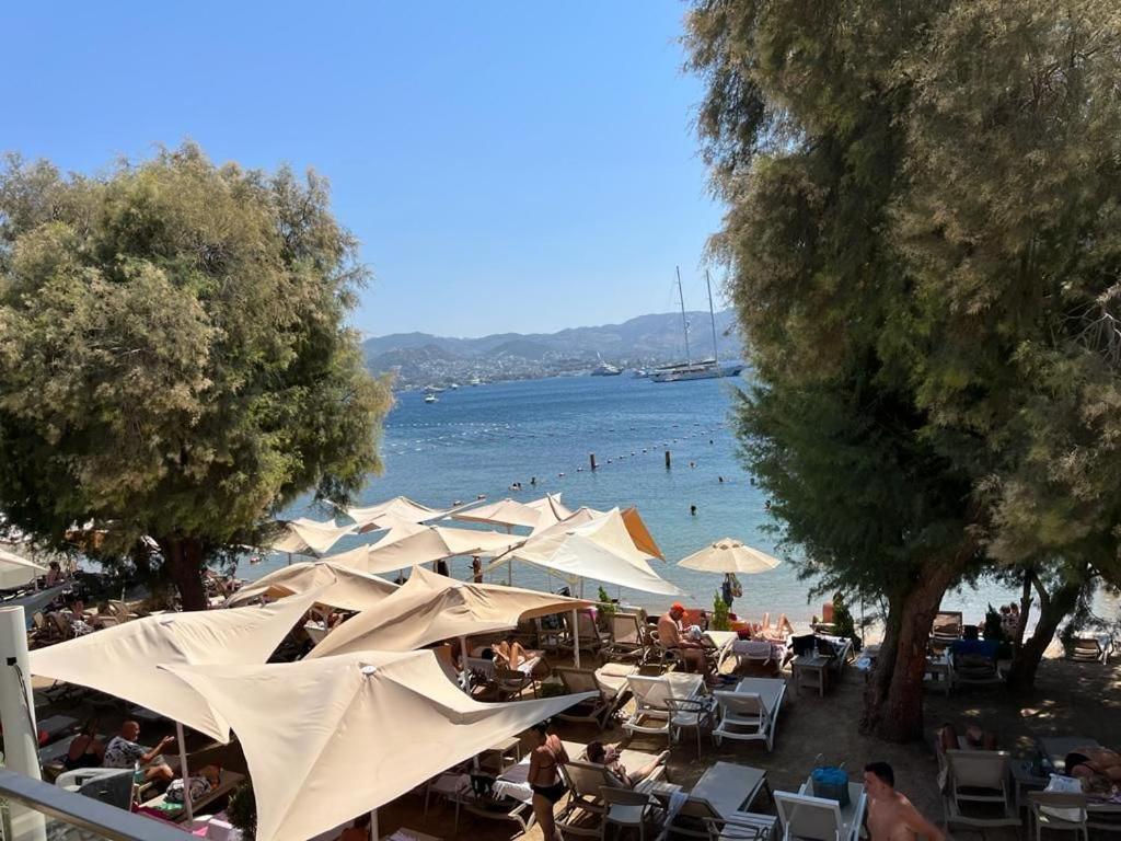 Farrys Boutique & Club -