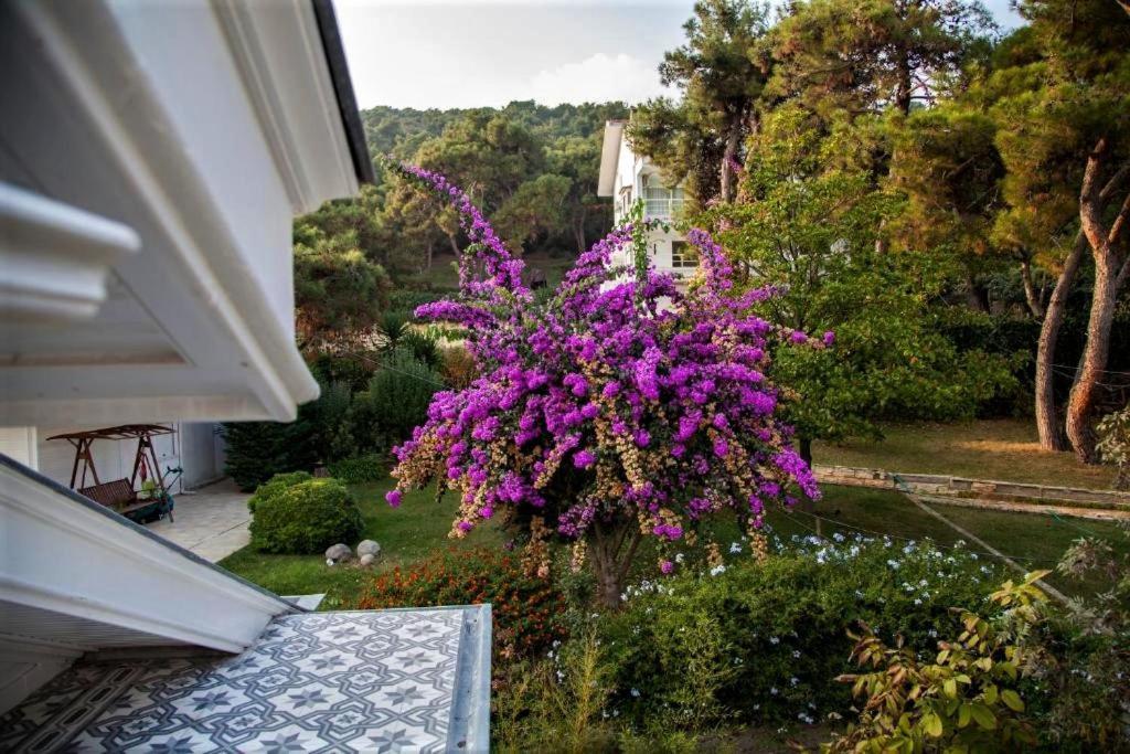 Triada Bueyuekada Hotel 5*