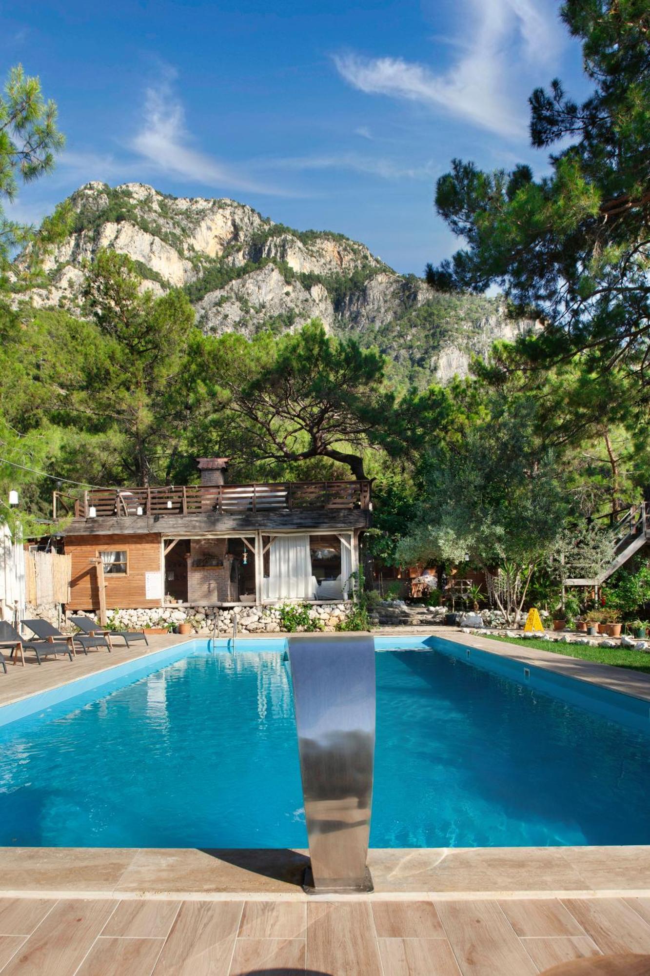 Inn Chakra Kabak Faralya
