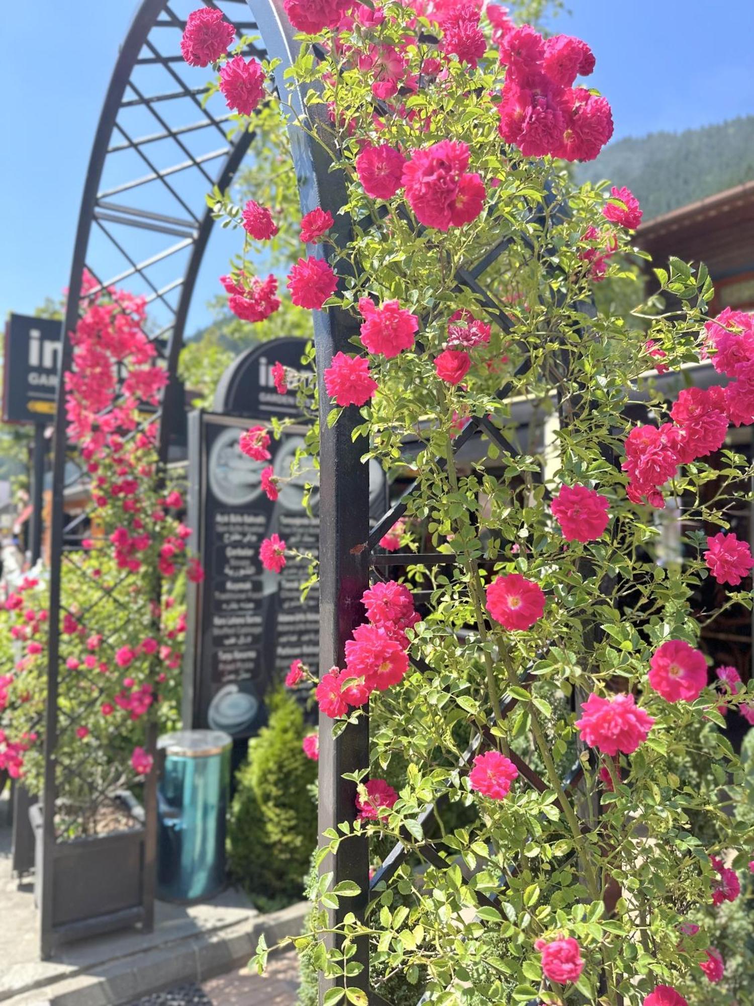 Hotel Inanlar Garden & Uzungol