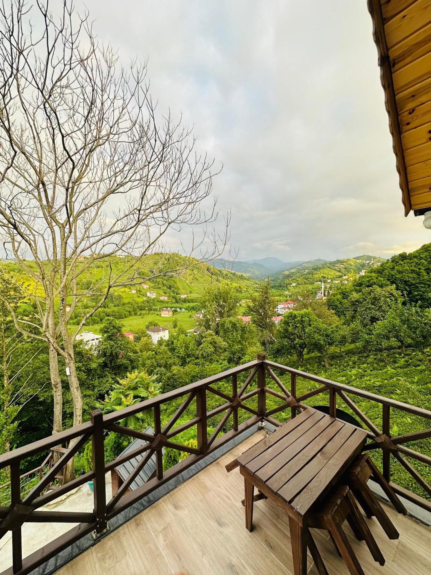 Greenlife Dagevleri Homestay *