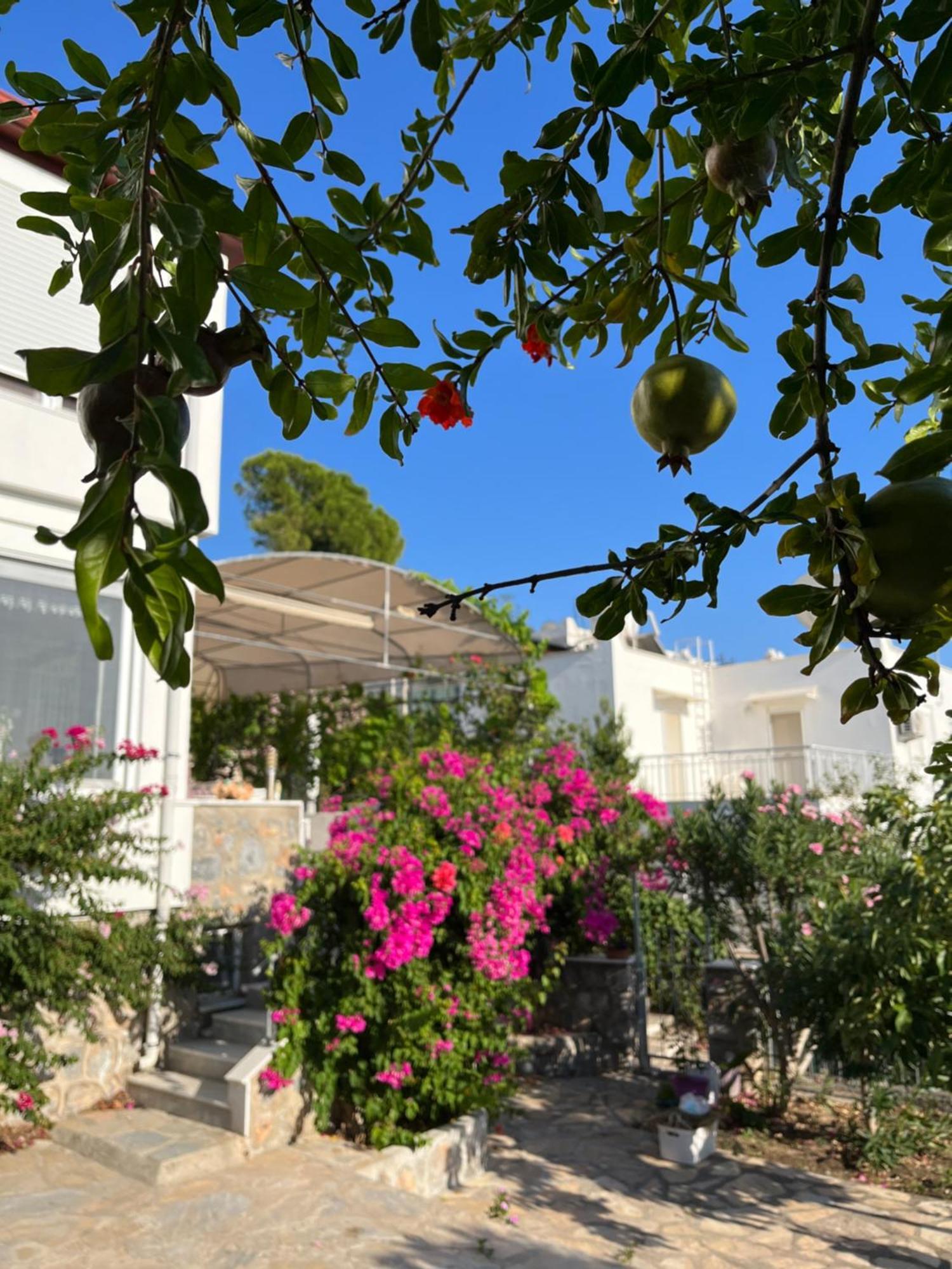 Bella Vista - Near The And Airport Villa Dalaman