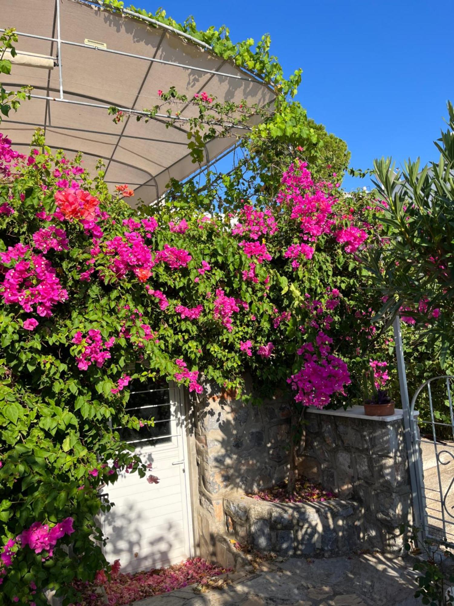 Bella Vista - Near The And Airport Dalaman