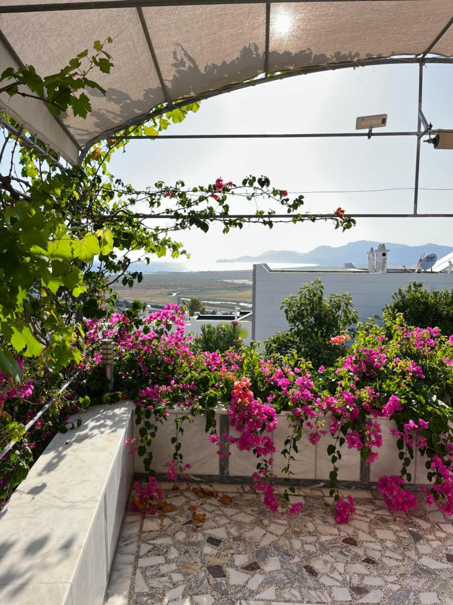 Bella Vista - Near The And Airport *