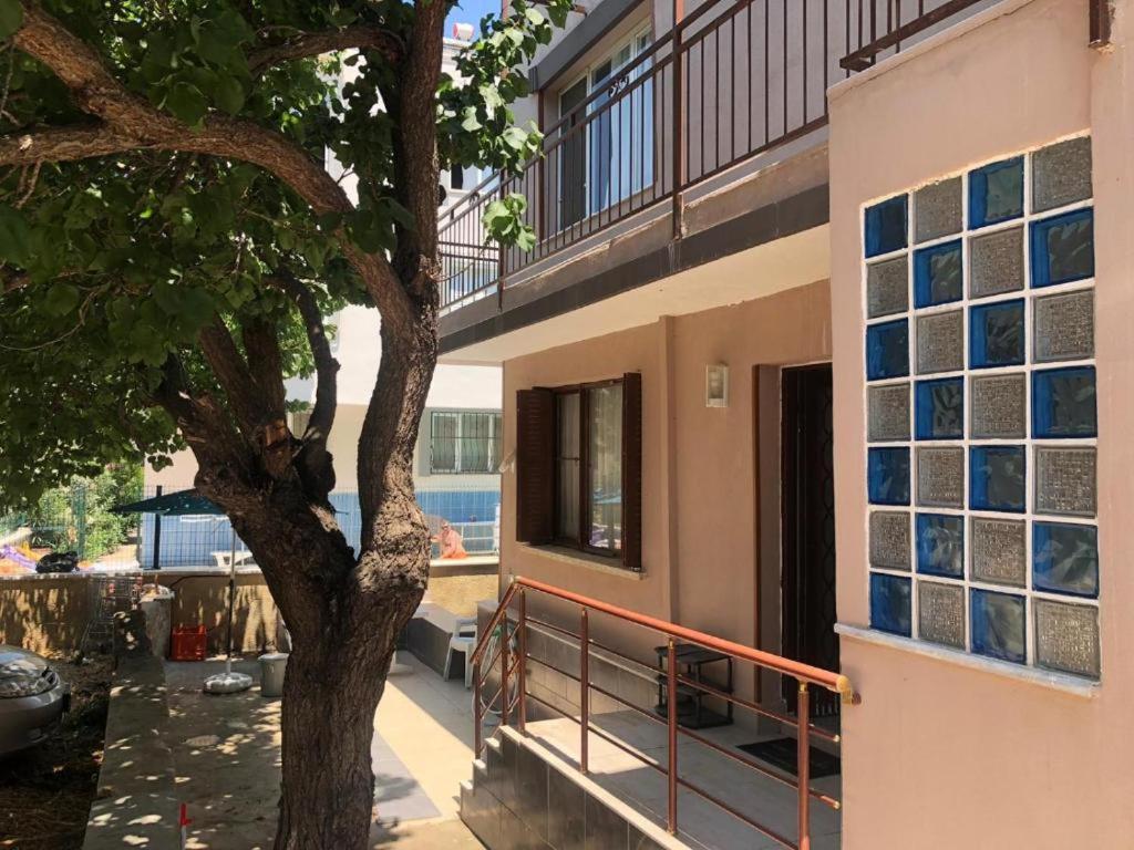 *** Beyaz *** * Didim