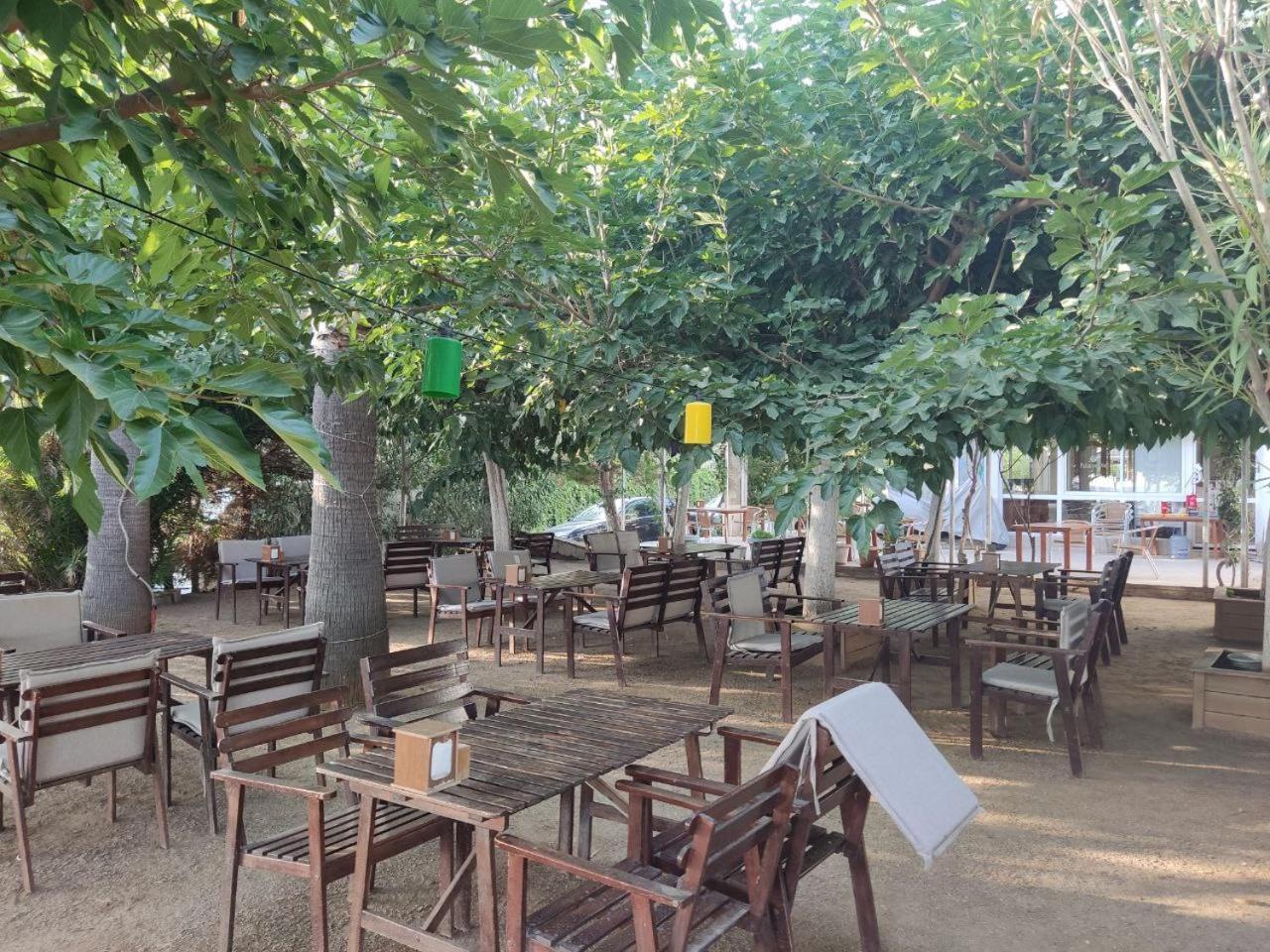 Hotel Palmiye Ozdere