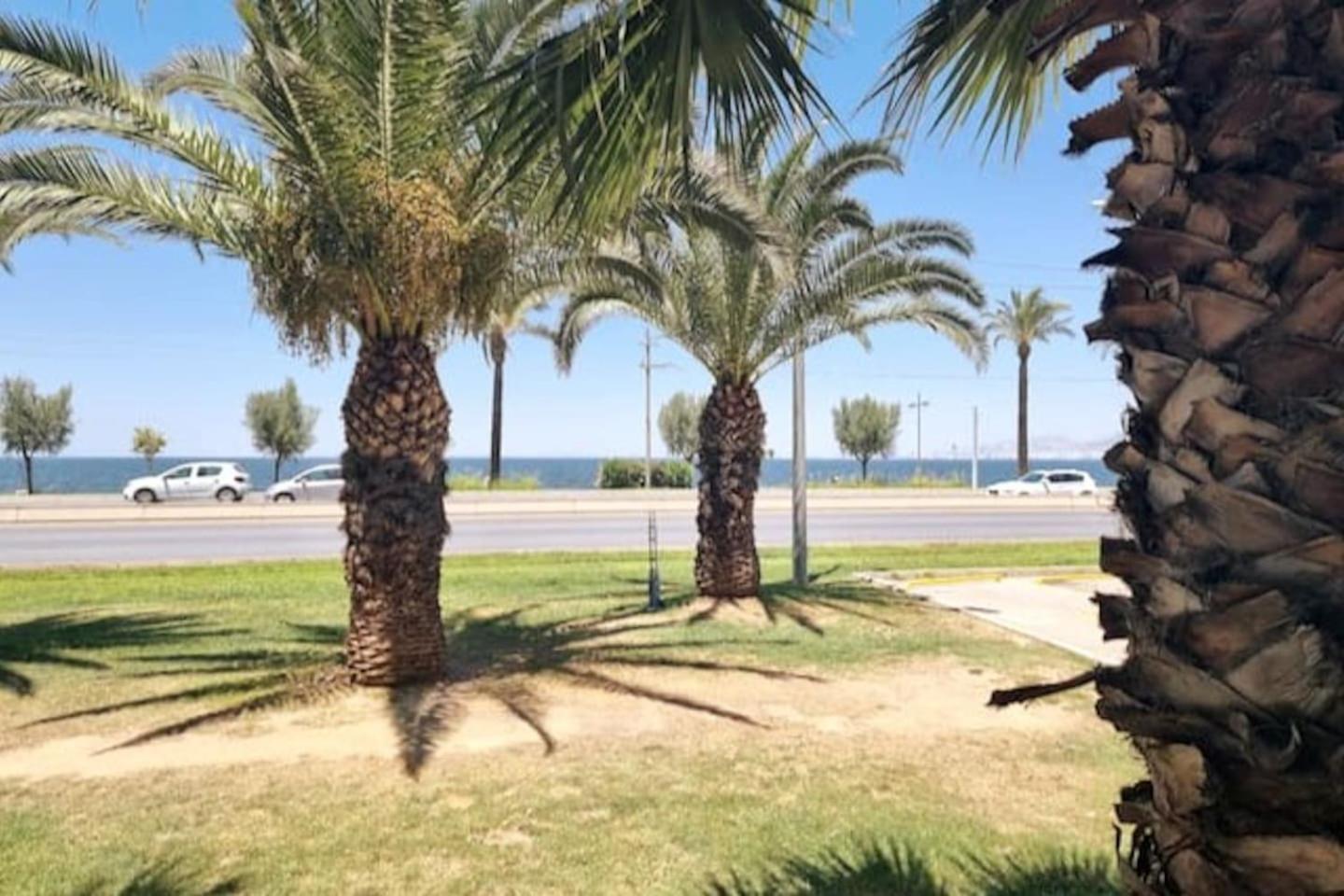 Elegant & Cozy Retreat Home, Center Gem By The Seaside, Steps From The Tram Apartment