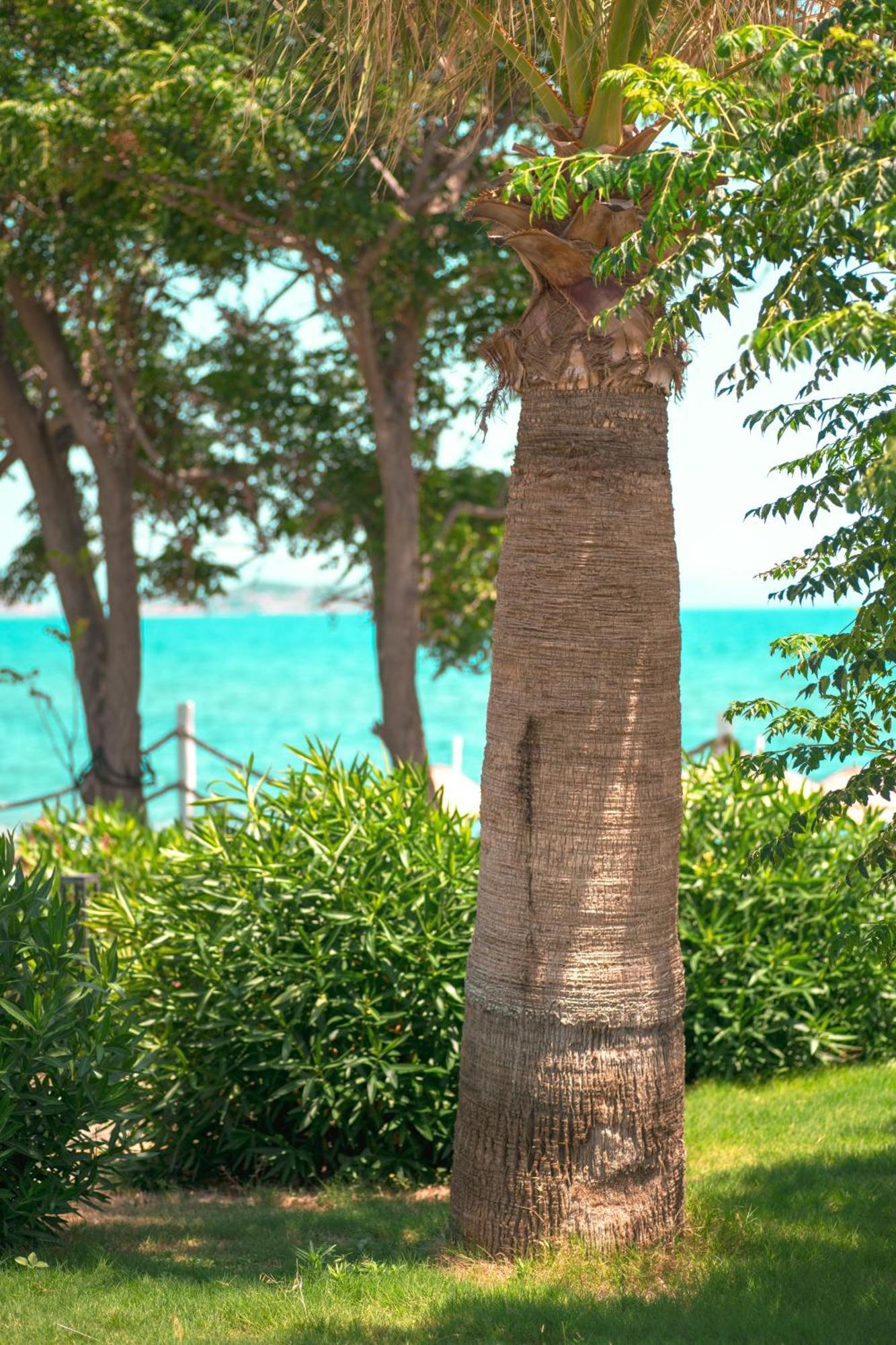 Feri Surf Club Datca